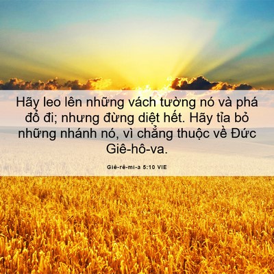 Picture 06 - Giê-rê-mi-a 5:10 VIE - Hãy leo lên những vách tường nó và phá - Bible Verse Picture