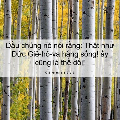 Picture 06 - Giê-rê-mi-a 5:2 VIE - Dầu chúng nó nói rằng: Thật như Đức - Bible Verse Picture