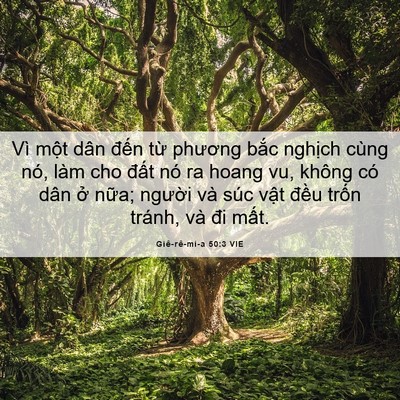 Picture 06 - Giê-rê-mi-a 50:3 VIE - Vì một dân đến từ phương bắc - Bible Verse Picture