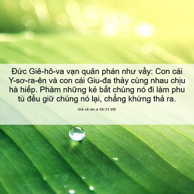 Picture 06 - Giê-rê-mi-a 50:33 VIE - Đức Giê-hô-va vạn quân phán như vầy: - Bible Verse Picture