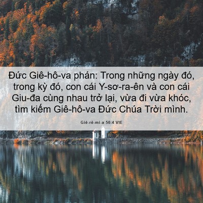 Picture 06 - Giê-rê-mi-a 50:4 VIE - Đức Giê-hô-va phán: Trong những ngày - Bible Verse Picture