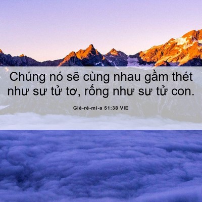 Picture 06 - Giê-rê-mi-a 51:38 VIE - Chúng nó sẽ cùng nhau gầm thét như sư - Bible Verse Picture