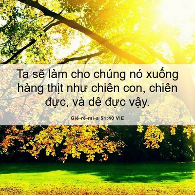 Picture 06 - Giê-rê-mi-a 51:40 VIE - Ta sẽ làm cho chúng nó xuống hàng thịt - Bible Verse Picture