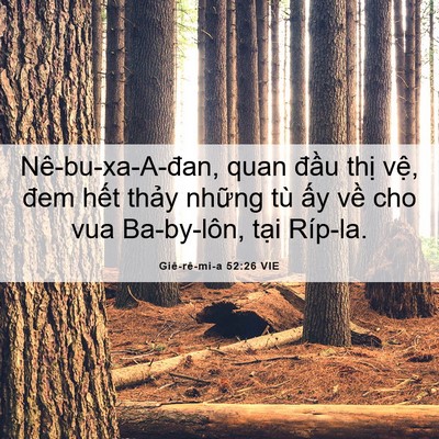 Picture 06 - Giê-rê-mi-a 52:26 VIE - Nê-bu-xa-A-đan, quan đầu thị vệ, đem - Bible Verse Picture