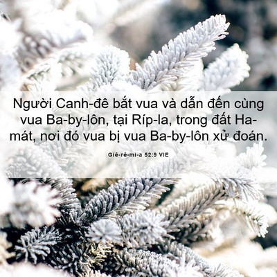 Picture 06 - Giê-rê-mi-a 52:9 VIE - Người Canh-đê bắt vua và dẫn đến - Bible Verse Picture