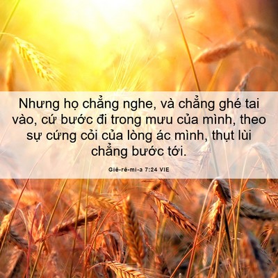 Picture 06 - Giê-rê-mi-a 7:24 VIE - Nhưng họ chẳng nghe, và chẳng ghé tai - Bible Verse Picture