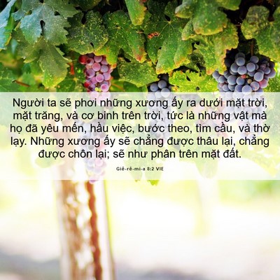 Picture 06 - Giê-rê-mi-a 8:2 VIE - Người ta sẽ phơi những xương ấy ra - Bible Verse Picture