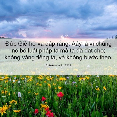 Picture 06 - Giê-rê-mi-a 9:13 VIE - Đức Giê-hô-va đáp rằng: Aáy là vì - Bible Verse Picture
