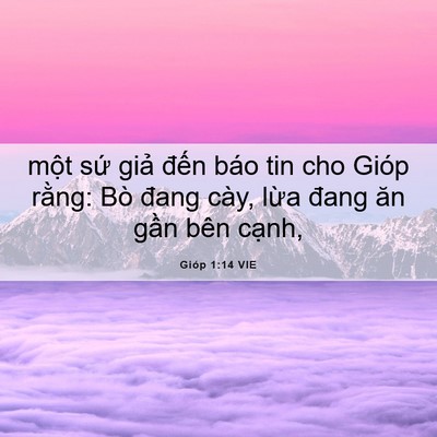 Picture 06 - Gióp 1:14 VIE - một sứ giả đến báo tin cho Gióp - Bible Verse Picture