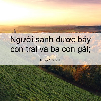 Picture 06 - Gióp 1:2 VIE - Người sanh được bảy con trai và ba con - Bible Verse Picture
