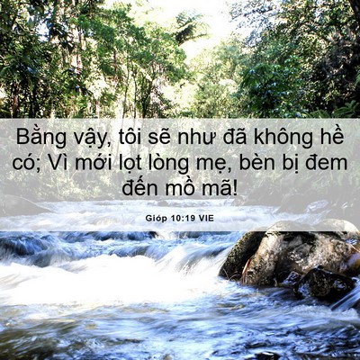 Picture 06 - Gióp 10:19 VIE - Bằng vậy, tôi sẽ như đã không hề - Bible Verse Picture