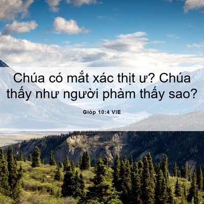 Picture 06 - Gióp 10:4 VIE - Chúa có mắt xác thịt ư? Chúa thấy như - Bible Verse Picture