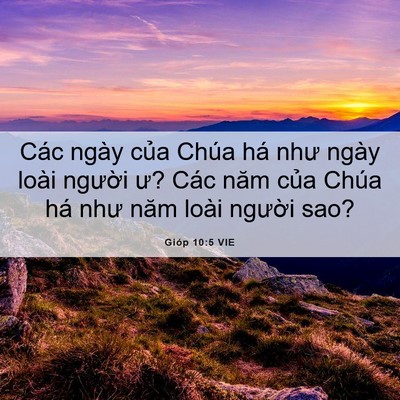 Picture 06 - Gióp 10:5 VIE - Các ngày của Chúa há như ngày loài - Bible Verse Picture