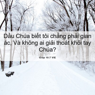 Picture 06 - Gióp 10:7 VIE - Dầu Chúa biết tôi chẳng phải gian ác, - Bible Verse Picture