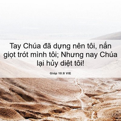 Picture 06 - Gióp 10:8 VIE - Tay Chúa đã dựng nên tôi, nắn giọt - Bible Verse Picture