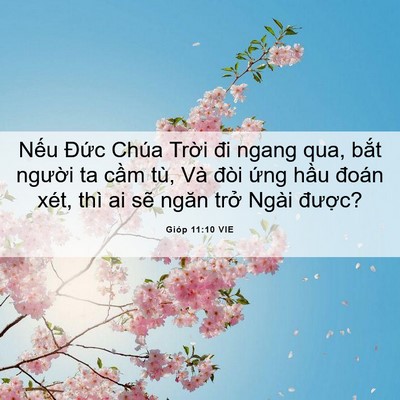 Picture 06 - Gióp 11:10 VIE - Nếu Đức Chúa Trời đi ngang qua, bắt - Bible Verse Picture