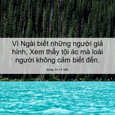 Picture 06 - Gióp 11:11 VIE - Vì Ngài biết những người giả hình, - Bible Verse Picture