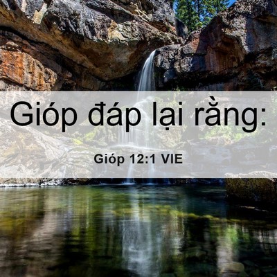 Picture 06 - Gióp 12:1 VIE - Gióp đáp lại - Bible Verse Picture