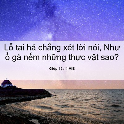 Picture 06 - Gióp 12:11 VIE - Lỗ tai há chẳng xét lời nói, Như ổ - Bible Verse Picture