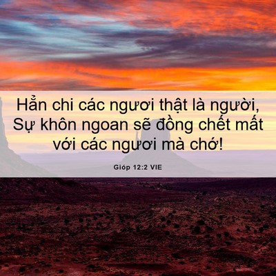 Picture 06 - Gióp 12:2 VIE - Hẳn chi các ngươi thật là người, Sự - Bible Verse Picture