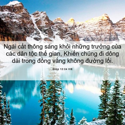Picture 06 - Gióp 12:24 VIE - Ngài cất thông sáng khỏi những trưởng - Bible Verse Picture