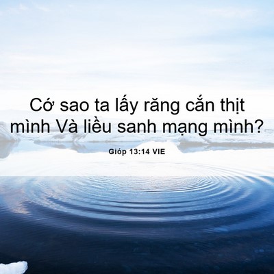 Picture 06 - Gióp 13:14 VIE - Cớ sao ta lấy răng cắn thịt mình Và - Bible Verse Picture