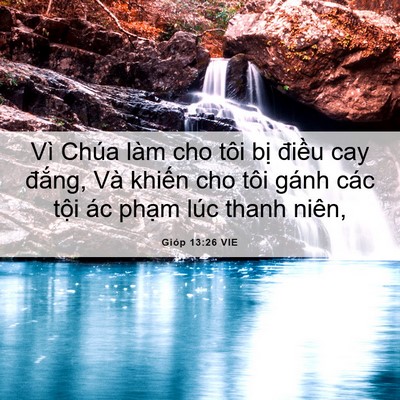 Picture 06 - Gióp 13:26 VIE - Vì Chúa làm cho tôi bị điều cay đắng, - Bible Verse Picture