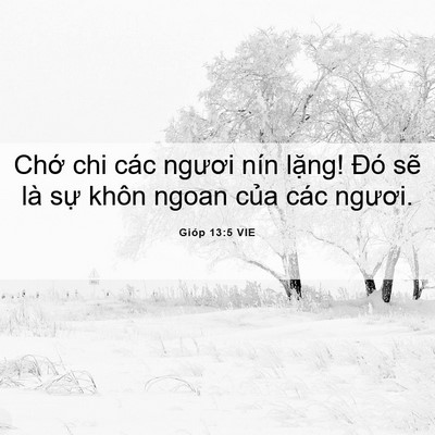 Picture 06 - Gióp 13:5 VIE - Chớ chi các ngươi nín lặng! Đó sẽ là - Bible Verse Picture
