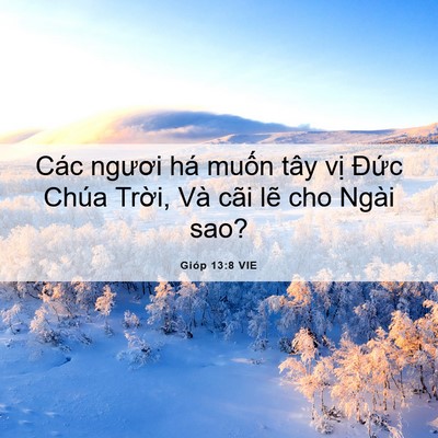 Picture 06 - Gióp 13:8 VIE - Các ngươi há muốn tây vị Đức Chúa - Bible Verse Picture