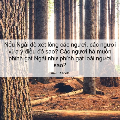 Picture 06 - Gióp 13:9 VIE - Nếu Ngài dò xét lòng các ngươi, các - Bible Verse Picture