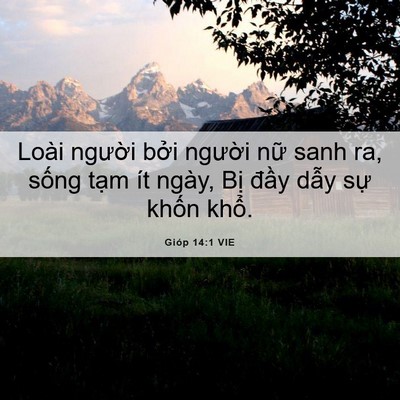 Picture 06 - Gióp 14:1 VIE - Loài người bởi người nữ sanh ra, - Bible Verse Picture