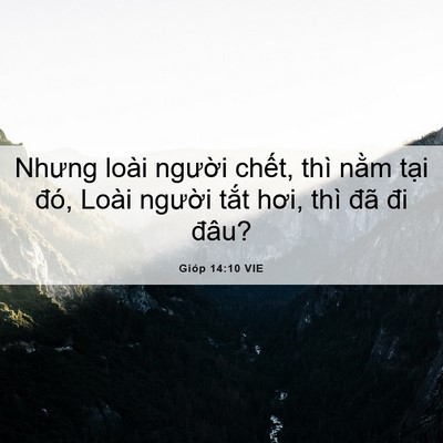 Picture 06 - Gióp 14:10 VIE - Nhưng loài người chết, thì nằm tại - Bible Verse Picture