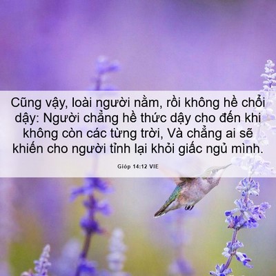 Picture 06 - Gióp 14:12 VIE - Cũng vậy, loài người nằm, rồi không - Bible Verse Picture