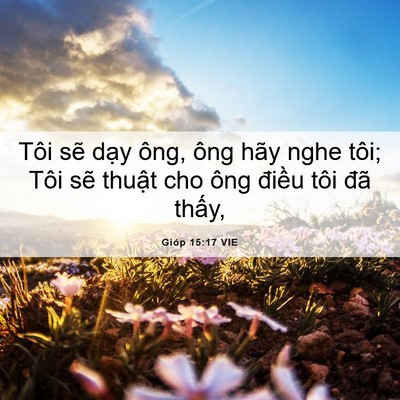Picture 06 - Gióp 15:17 VIE - Tôi sẽ dạy ông, ông hãy nghe tôi; Tôi - Bible Verse Picture