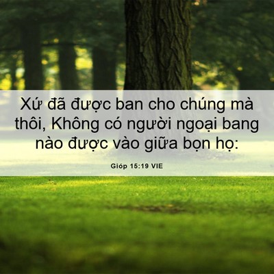 Picture 06 - Gióp 15:19 VIE - Xứ đã được ban cho chúng mà thôi, - Bible Verse Picture