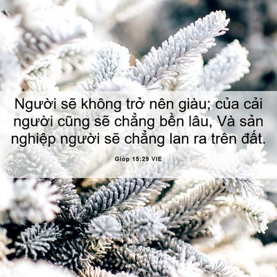 Picture 06 - Gióp 15:29 VIE - Người sẽ không trở nên giàu; của - Bible Verse Picture