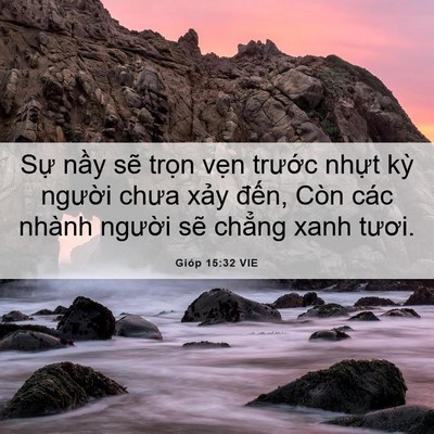 Picture 06 - Gióp 15:32 VIE - Sự nầy sẽ trọn vẹn trước nhựt kỳ - Bible Verse Picture