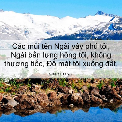 Picture 06 - Gióp 16:13 VIE - Các mũi tên Ngài vây phủ tôi, Ngài bắn - Bible Verse Picture