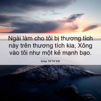 Picture 06 - Gióp 16:14 VIE - Ngài làm cho tôi bị thương tích này - Bible Verse Picture
