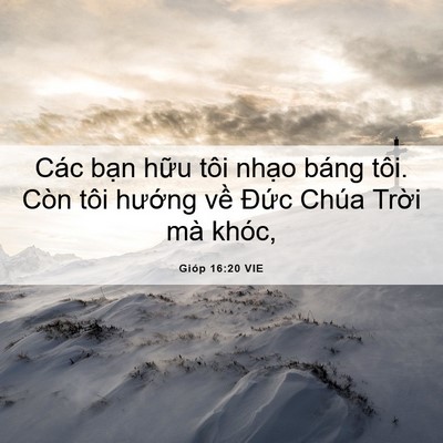 Picture 06 - Gióp 16:20 VIE - Các bạn hữu tôi nhạo báng tôi. Còn - Bible Verse Picture
