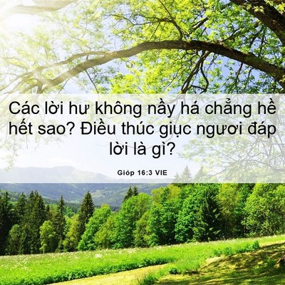 Picture 06 - Gióp 16:3 VIE - Các lời hư không nầy há chẳng hề - Bible Verse Picture