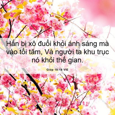 Picture 06 - Gióp 18:18 VIE - Hắn bị xô đuổi khỏi ánh sáng mà vào - Bible Verse Picture