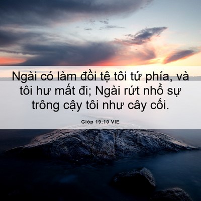 Picture 06 - Gióp 19:10 VIE - Ngài có làm đồi tệ tôi tứ phía, và - Bible Verse Picture