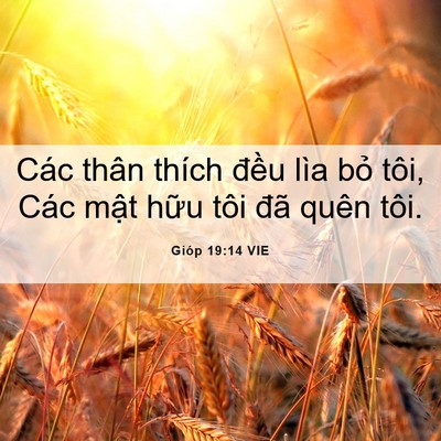 Picture 06 - Gióp 19:14 VIE - Các thân thích đều lìa bỏ tôi, Các - Bible Verse Picture
