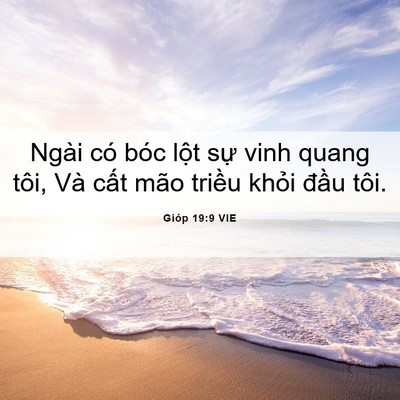 Picture 06 - Gióp 19:9 VIE - Ngài có bóc lột sự vinh quang tôi, Và - Bible Verse Picture