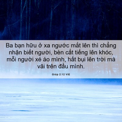 Picture 06 - Gióp 2:12 VIE - Ba bạn hữu ở xa ngước mắt lên thì - Bible Verse Picture