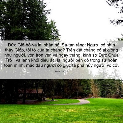 Picture 06 - Gióp 2:3 VIE - Đức Giê-hô-va lại phán hỏi Sa-tan - Bible Verse Picture
