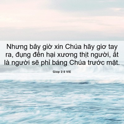 Picture 06 - Gióp 2:5 VIE - Nhưng bây giờ xin Chúa hãy giơ tay ra, - Bible Verse Picture