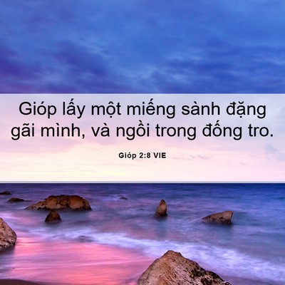 Picture 06 - Gióp 2:8 VIE - Gióp lấy một miếng sành đặng gãi - Bible Verse Picture