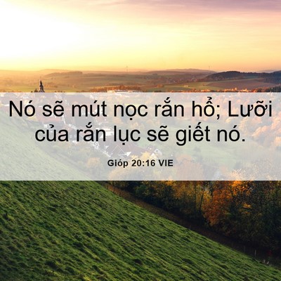 Picture 06 - Gióp 20:16 VIE - Nó sẽ mút nọc rắn hổ; Lưỡi của - Bible Verse Picture